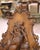 Brown Pair of 19th Century Swiss Black Forest Carved Walnut Hunt Trophy Sculptures For Sale - Image 8 of 12