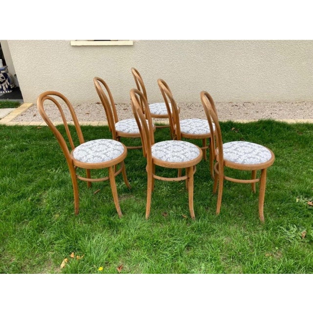 Bistro Chairs in Bent Beechwood and Damask Fabric from Fischel, 1890s For Sale - Image 4 of 10