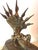 Rare Antique Buddha under Naga Sculpture from Thailand For Sale In Atlanta - Image 6 of 10