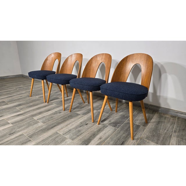 Set of Dining Chairs by Antonin Suman, 1960s For Sale - Image 12 of 12