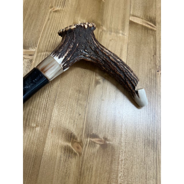 Early 20th Century Antler Horn Handle Walking Stick With Whistle For Sale - Image 11 of 12