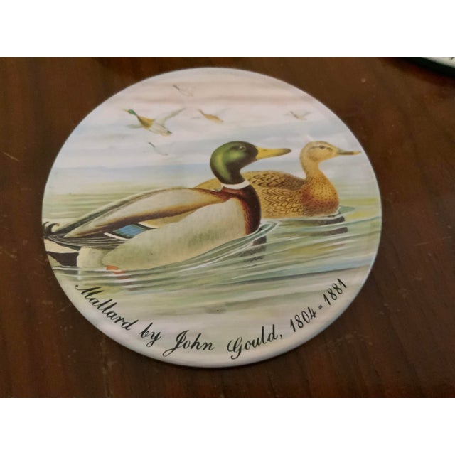 American 1984 John Gould Mallard Duck Coasters With Tin - Set of 6 For Sale - Image 3 of 6