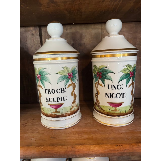 Transitional Set of 12 Late 19th Century Continental Porcelain Apothecary Jars For Sale - Image 3 of 8