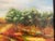 Paint Watkins for Prestige Arts Tuscan Poppies Artwork, Certificate For Sale - Image 7 of 12