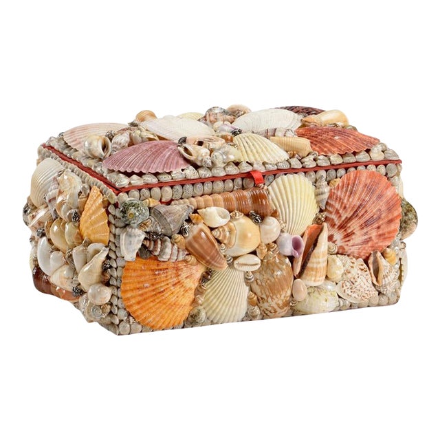 Large Shell Box For Sale