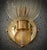 Murano Round Art Glass and Brass Gold Wall Light, 2000 For Sale - Image 4 of 9