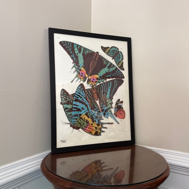 Vintage Insects Giclee Print After Emile-Allain Seguy ~Framed For Sale In Atlanta - Image 6 of 10