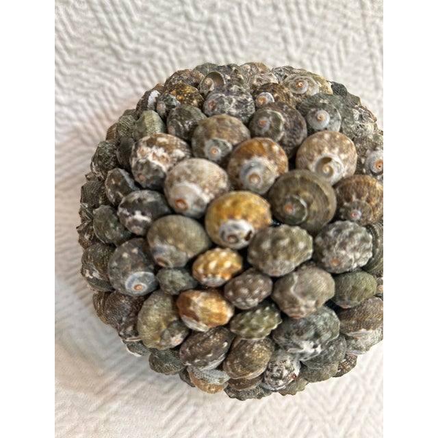 Contemporary Contemporary Shell Encrusted Decorative Ball or Sphere For Sale - Image 3 of 6