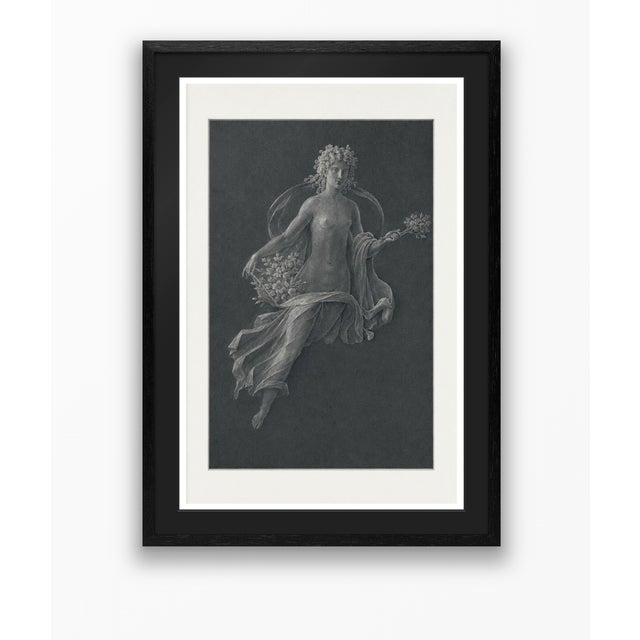 Dark Gray Atelier Aria Lumae Wilhelm Zahn Pompeian Flora Primavera Fresco Graphite Study High Contrast Fine Art Gallery Board Print 16 X 24 For Sale - Image 8 of 16
