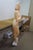 Peach 1980s Emily Kaufman Resin Solitaire Woman Smoking Cigarette Wall Art Sculpture 54" For Sale - Image 8 of 15