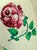 1980s Tiffany & Co. White Porcelain Vase in the Strasbourg Flowers Pattern With Polychrome Decoration of Scattered Flowers and Foliage, Made in Portugal For Sale - Image 5 of 11