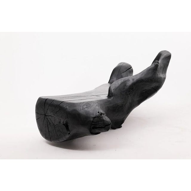 Wood Sculptural Charred Wood Bench by Logniture For Sale - Image 7 of 18