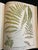 Paper Heath's Fern Portfolio, 1885 Complete With 15 Chromolithographs For Sale - Image 7 of 18