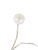 Table Lamp attributed to Gino Sarfatti, 1950s For Sale - Image 6 of 9