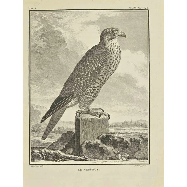 The Gerfaut is an Etching Realized in 1771 by Bernard Baron. Signed in flat. The Artwork Belongs to the Suite "Natural,...