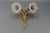 French Neoclassical Style Bronze and White Frosted Glass Two-Arm Sconce, 1890s For Sale - Image 9 of 18