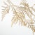 Rustic European Gilded Fern Stems 36" St/4 For Sale - Image 3 of 4