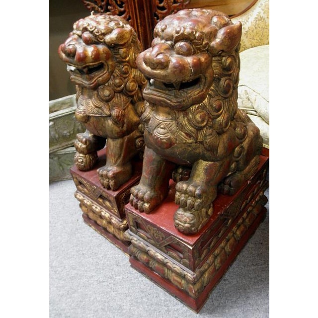 Antique Large Chinese Red Wood Guardian Foo Dog Lions Statues a Pair