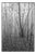 Paul Cooklin, Scan 20211222 82, Edition of 50 For Sale