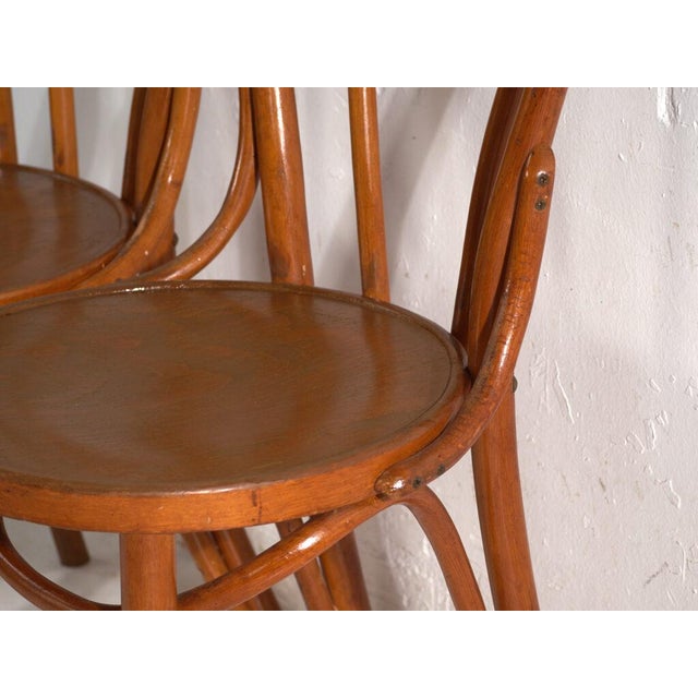 Chairs in Bentwood, Central Europe, 1930, Set of 2 For Sale - Image 3 of 14