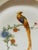 1940s 10 Antique Bird Parrots Porcelain Plates For Sale - Image 5 of 6