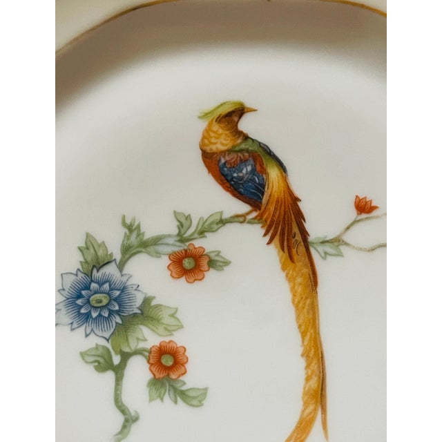 1940s 10 Antique Bird Parrots Porcelain Plates Checz For Sale - Image 5 of 6