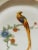 1940s 10 Antique Bird Parrots Porcelain Plates Checz For Sale - Image 5 of 6
