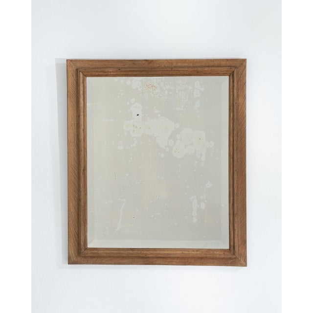 Oak Wall Mirror, Antique, France, 19th Century For Sale - Image 10 of 10