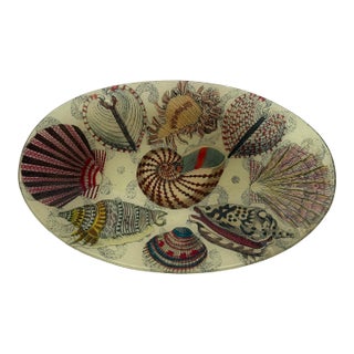 John Derian Company Nautilus Decoupage Glass Tray, Signed For Sale