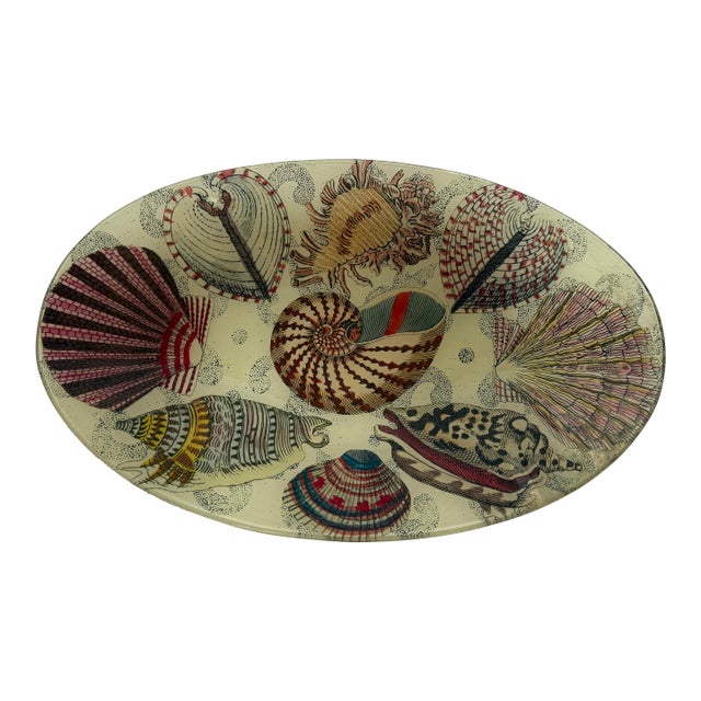 John Derian Company Nautilus Decoupage Glass Tray, Signed For Sale