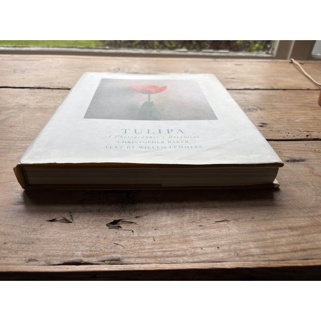 Tulipa: A Photographer’s Botanical by Christopher Baker – Luxury Floral Photography Coffee Table Book For Sale In Seattle - Image 6 of 12