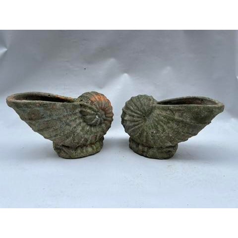 Terracotta Shell Planters a Pair For Sale - Image 6 of 11