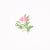 Schumacher Sample - Schumacher Margie Floral Wallpaper in Rose For Sale - Image 4 of 5