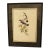 1970s English Framed Reproduction of Gould's White Tailed Robin Lithograph For Sale