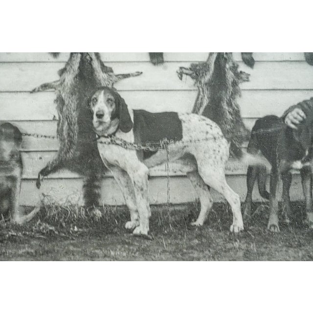 Black Nice Large Black and White Framed Antique Photograph Portrait Hunting Rustic Americana Dog Country Wall Decor For Sale - Image 8 of 14