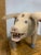Vintage Carved Wooden Folk Art Pig by David Alvarez For Sale - Image 4 of 10