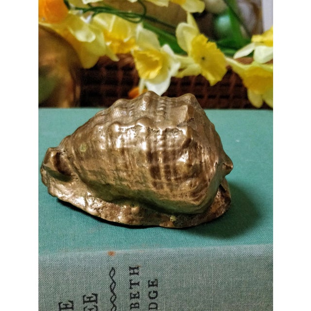 Coastal vintage brass seashell paperweight. Solid and heavy this would look great in any nautical office or seaside space....