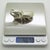 Vintage Italian Silver 800 Hercules Beetle Figurine, Milan, 1940s For Sale - Image 13 of 15