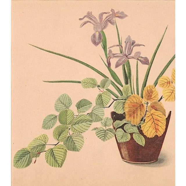 Mid-Century Modern 1956 Original Botanical Lithograph-Flower Arrangment Design, Matted For Sale - Image 3 of 5