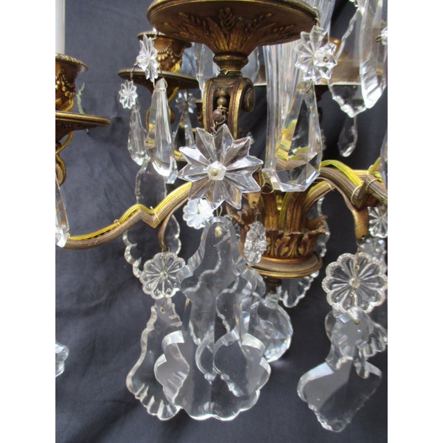 French Gilt Bronze 8 Light Crystal Chandelier Circa 1900 For Sale - Image 12 of 18
