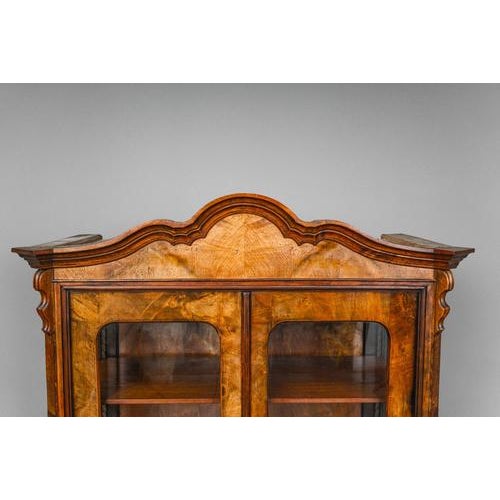 Brown Biedermeier Display Cabinet, 1850s For Sale - Image 8 of 18