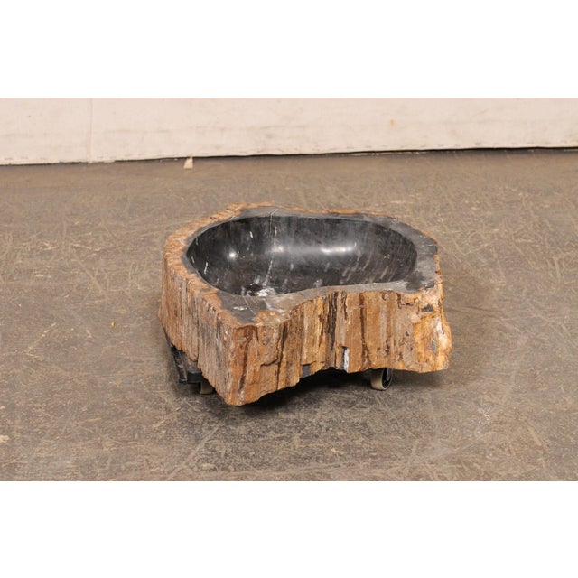 Early 21st Century Live Edge Petrified Wood Sink, Black & Tan For Sale - Image 5 of 10