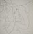 Modern Henri Matisse, Femme camouflée, Lithograph For Sale - Image 3 of 6