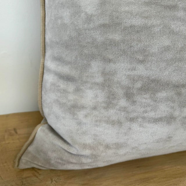 European Vintage Style Ciment Velvet Accent Pillow With Down Insert For Sale - Image 4 of 6