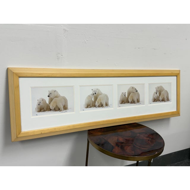 American Thomas Mangelsen Images of Nature Collection of Polar Expressions Photography, Signed For Sale - Image 3 of 12