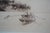 Printmaking Materials Antique Louis Harlow w.h. Shelton Signed Rowboat Riverscape Etching 22" For Sale - Image 7 of 11