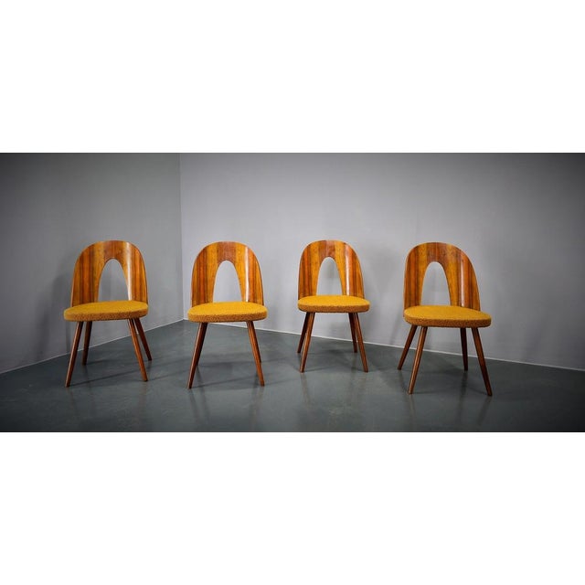 Dining Chairs in Walnut Finish by Antonin Suman, Czechoslovakia, 1960s, Set of 4 For Sale - Image 3 of 18