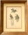 19th C. French Drawings of Birds, Pair For Sale - Image 9 of 11