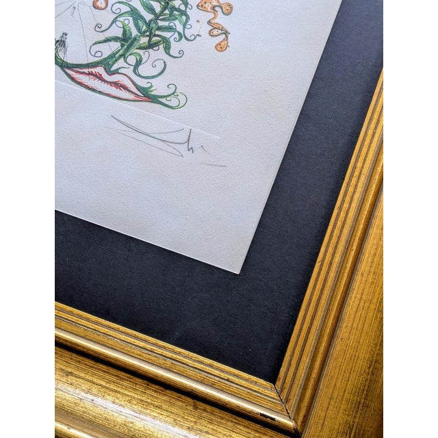 Salvador Dali, Tiger Lilies, 1972, Hand-Signed Original Etching in Colors, 1972 For Sale - Image 6 of 12