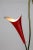 Metal Mid Century 2-Light Pendant With Mint & Red Trumpet Flower Shades & Curved Stem For Sale - Image 7 of 13